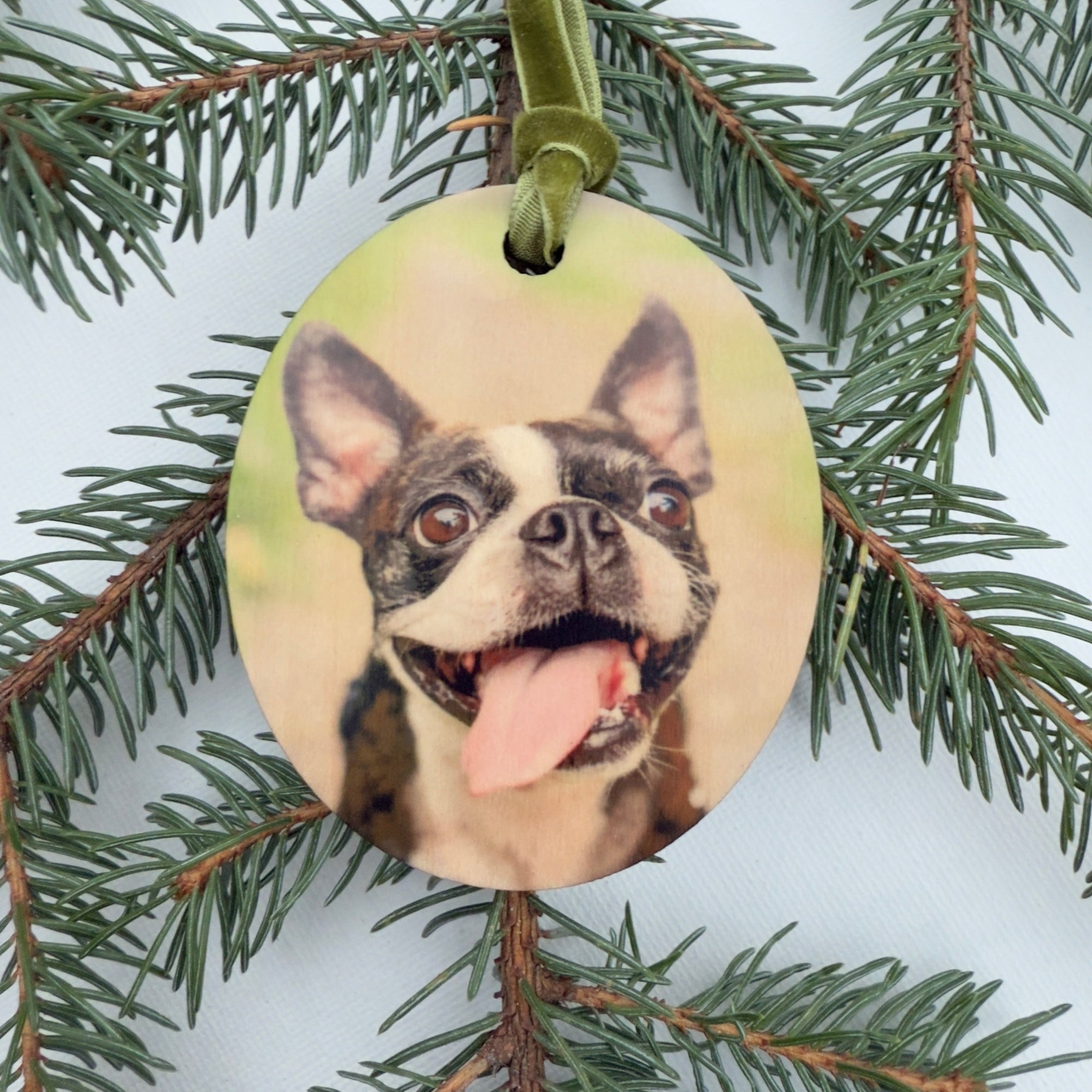 Personalized Photo on Oval Birch Wood Ornament